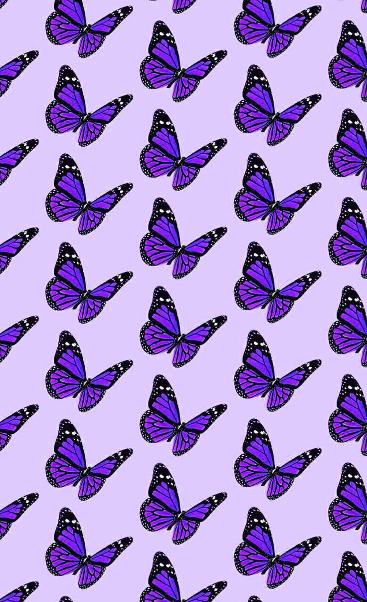 Light Purple Butterfly Wallpapers