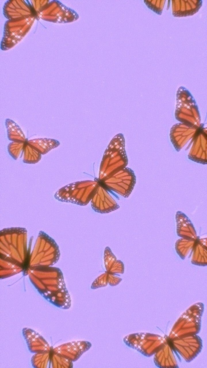 Light Purple Butterfly Wallpapers