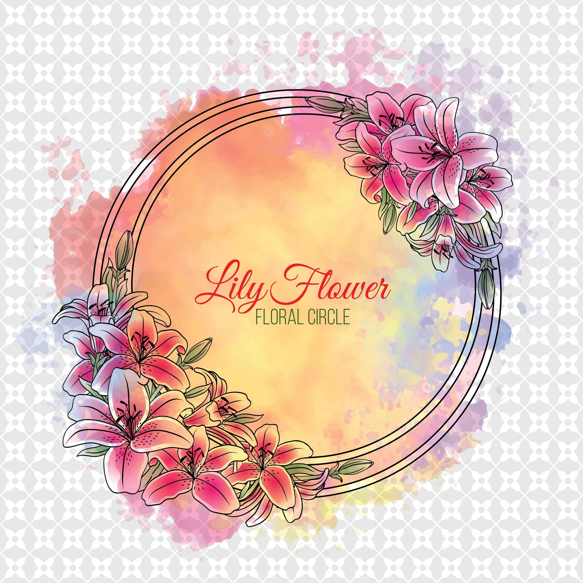 Lily Flowers Pic Wallpapers