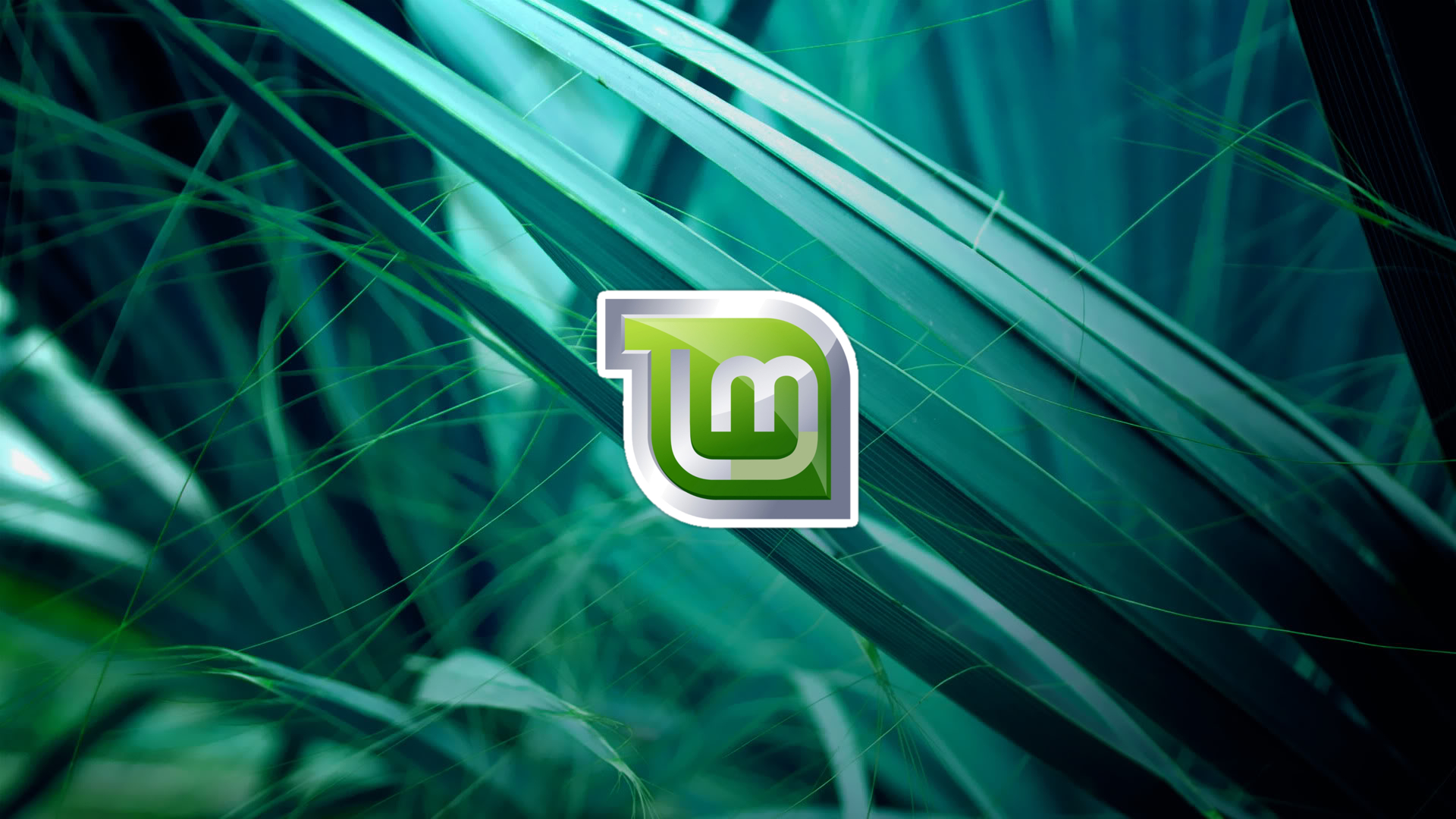 Linux Mint 1920X1080 Wallpapers