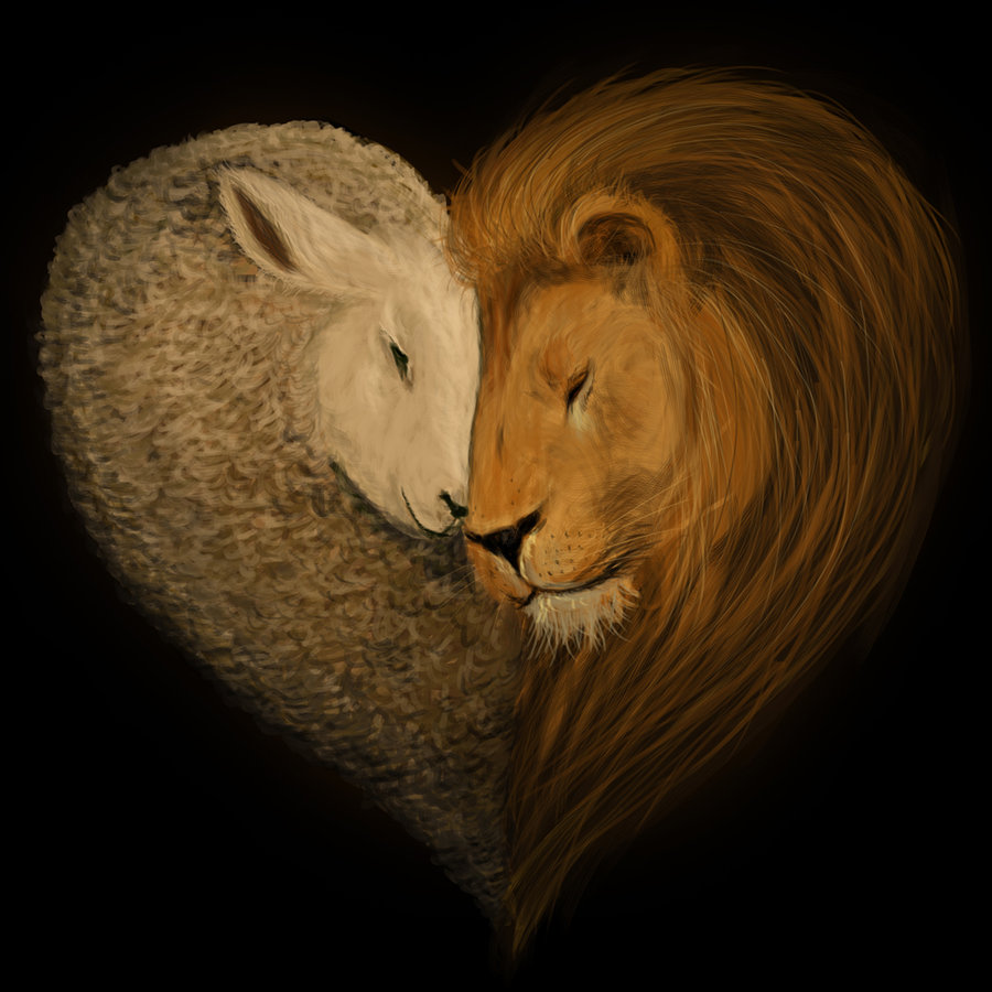 Lion And Lamb Wallpapers