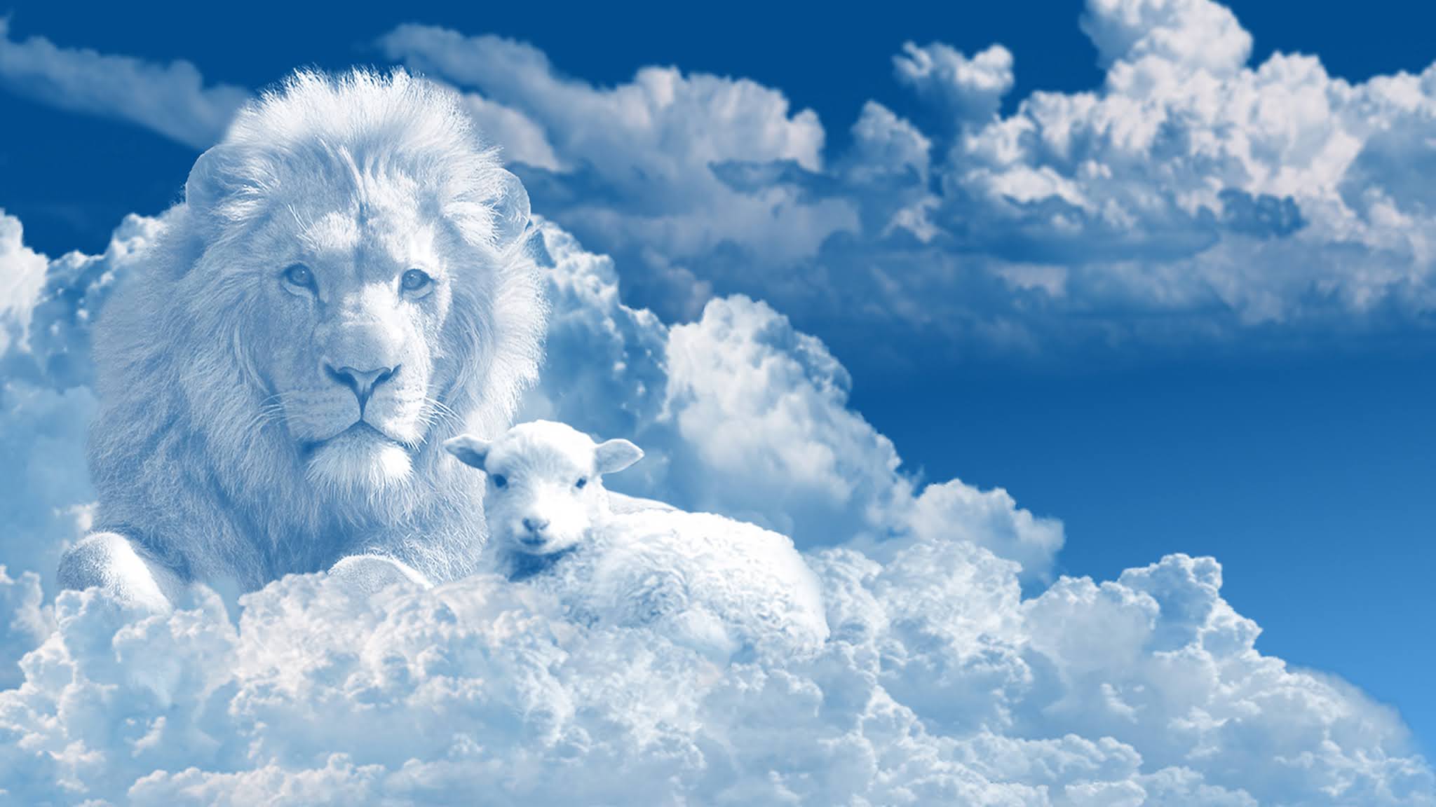 Lion And Lamb Wallpapers