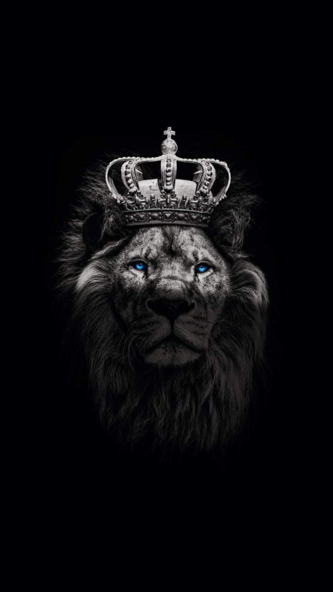 Lion Black Wallpapers