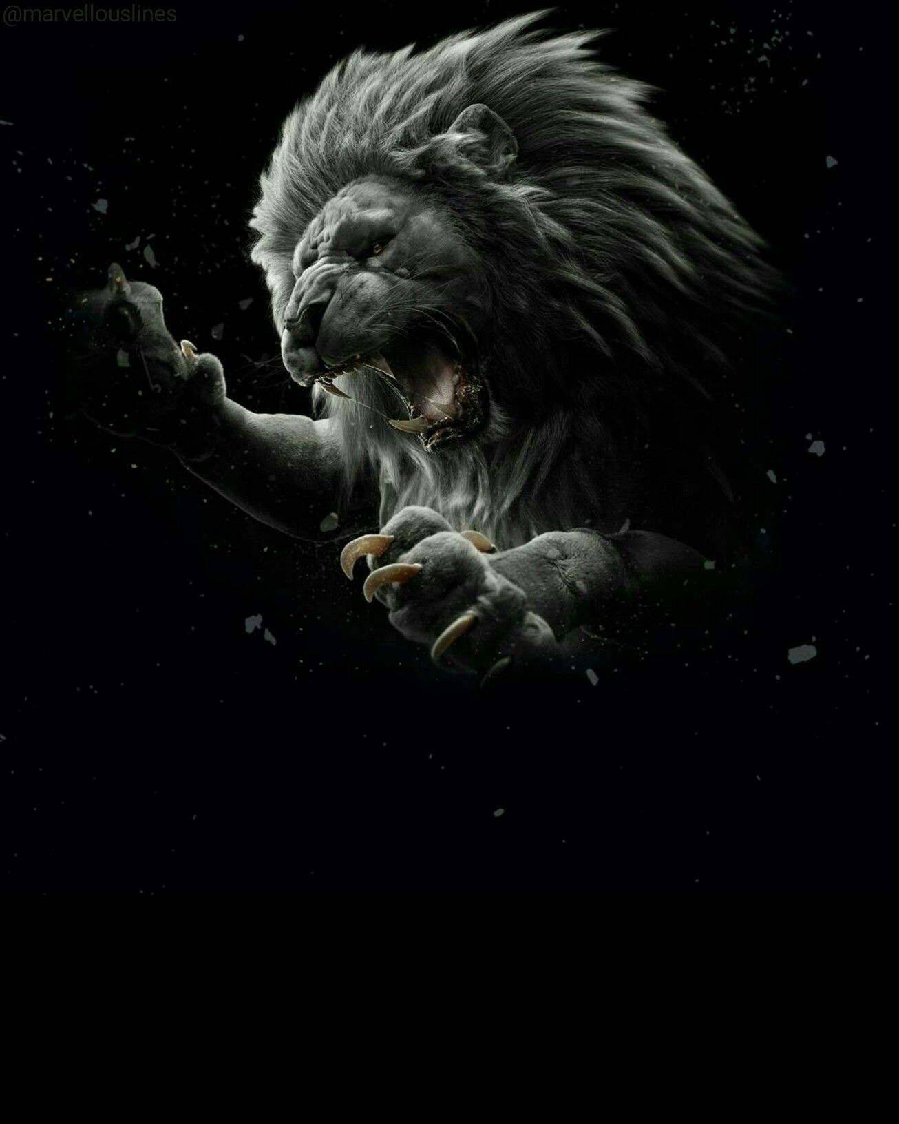 Lion Black Wallpapers