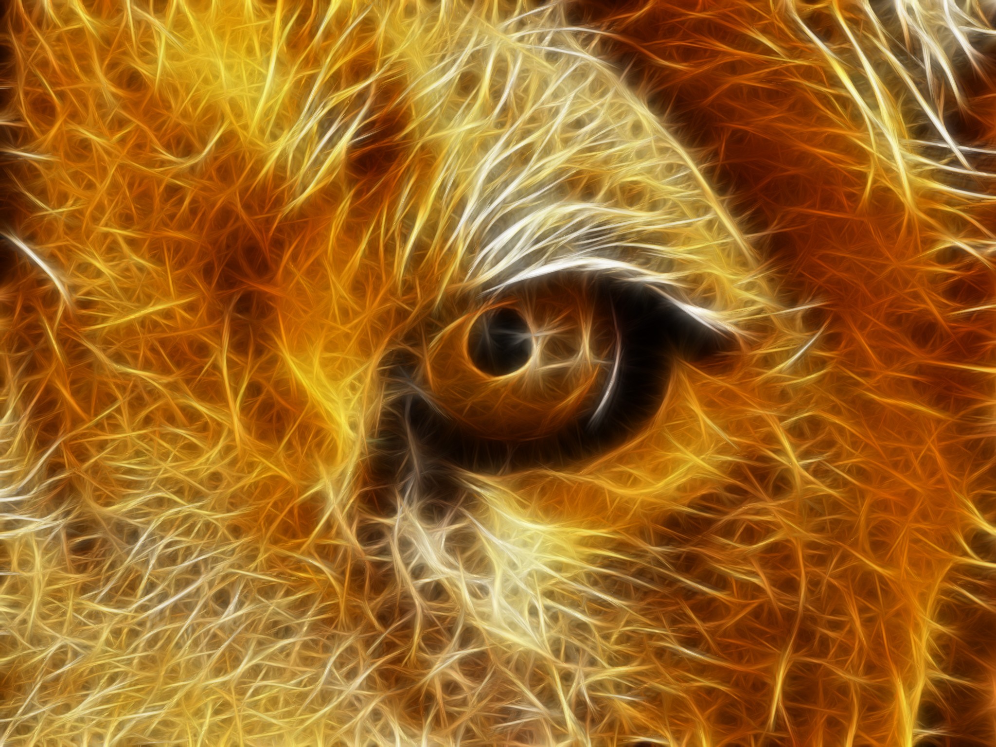 Lion Eyes Wallpapers