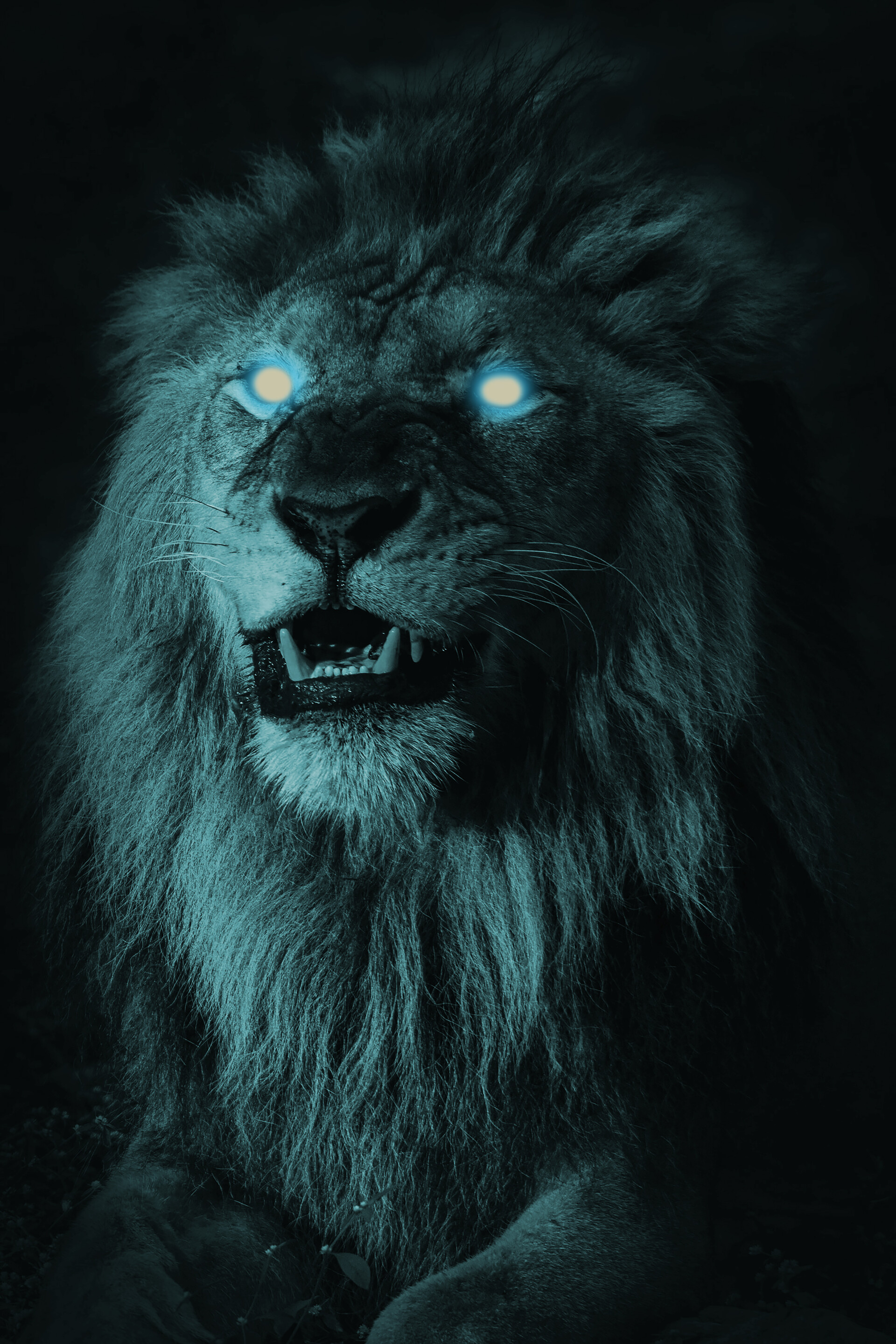 Lion Eyes Wallpapers