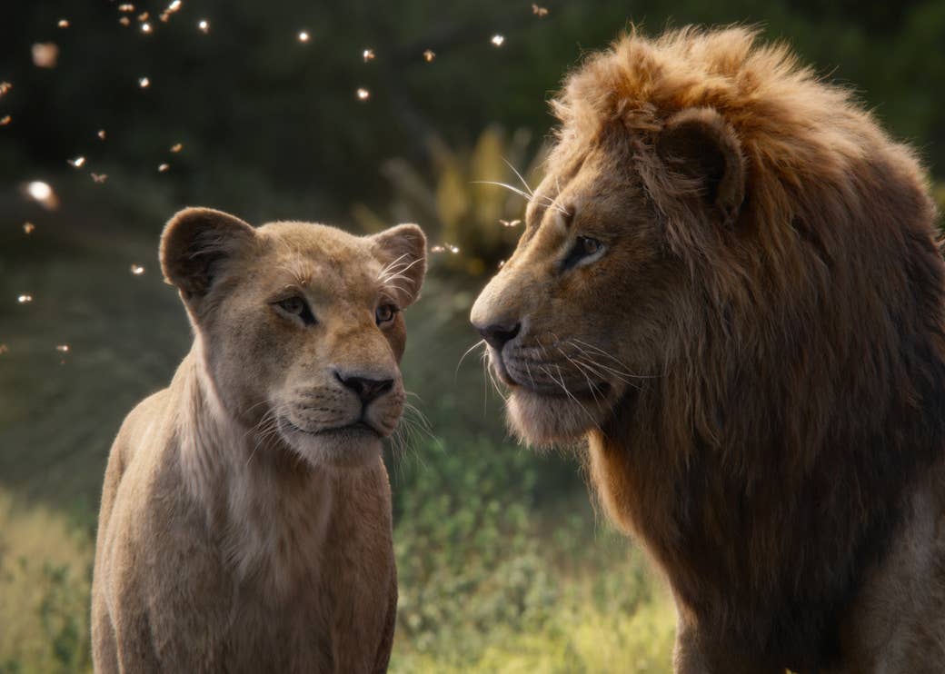 Lion King Hd Screencaps Wallpapers