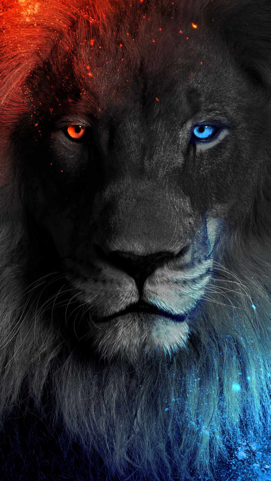 Lion King Iphone Wallpapers