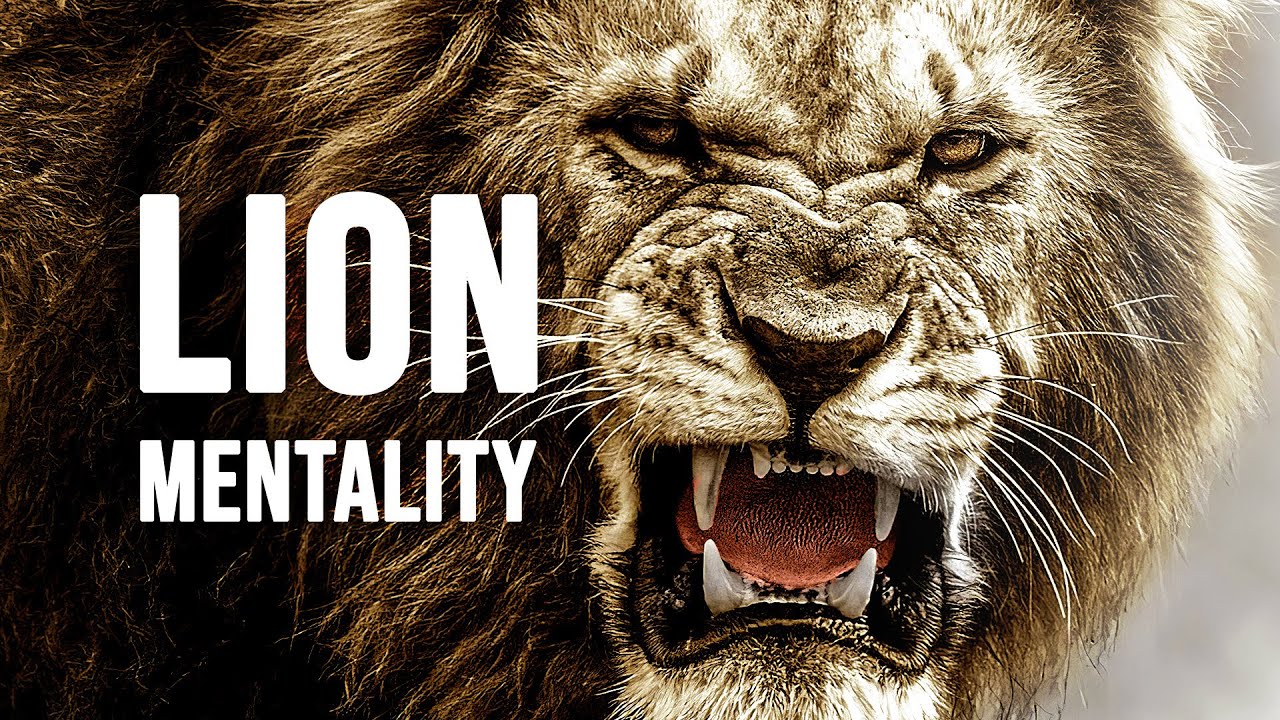 Lion Mentality Wallpapers