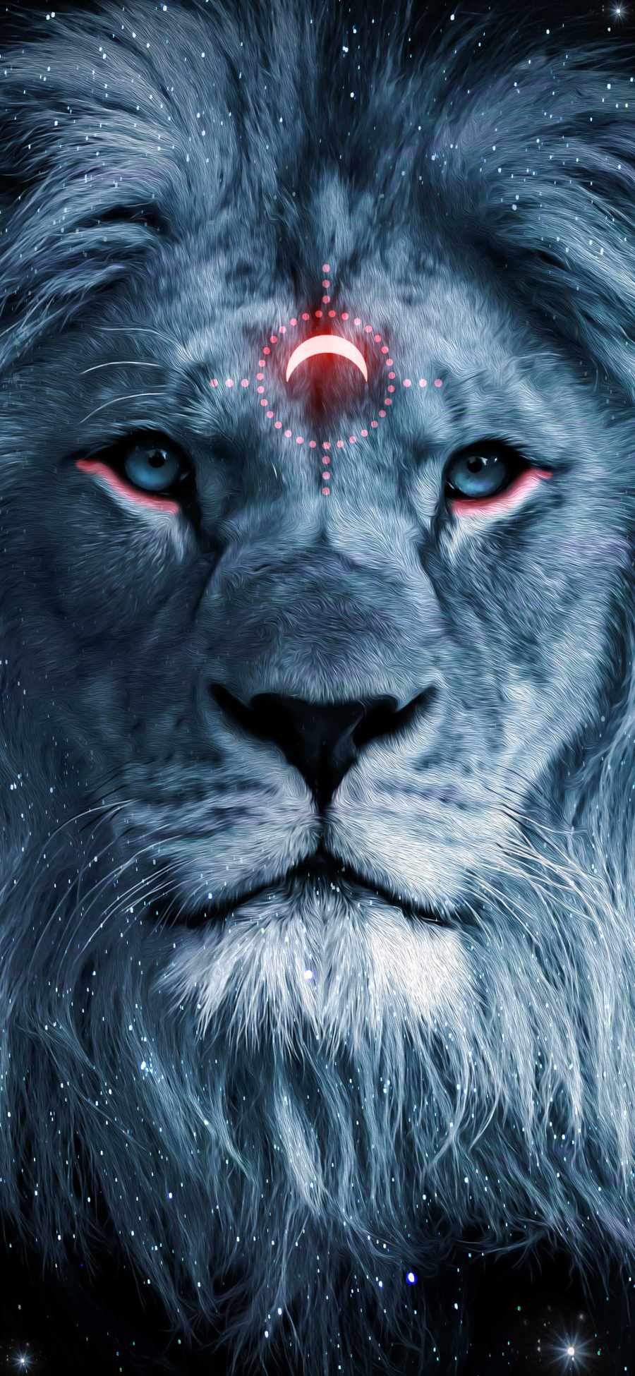 Lion Iphone Wallpapers