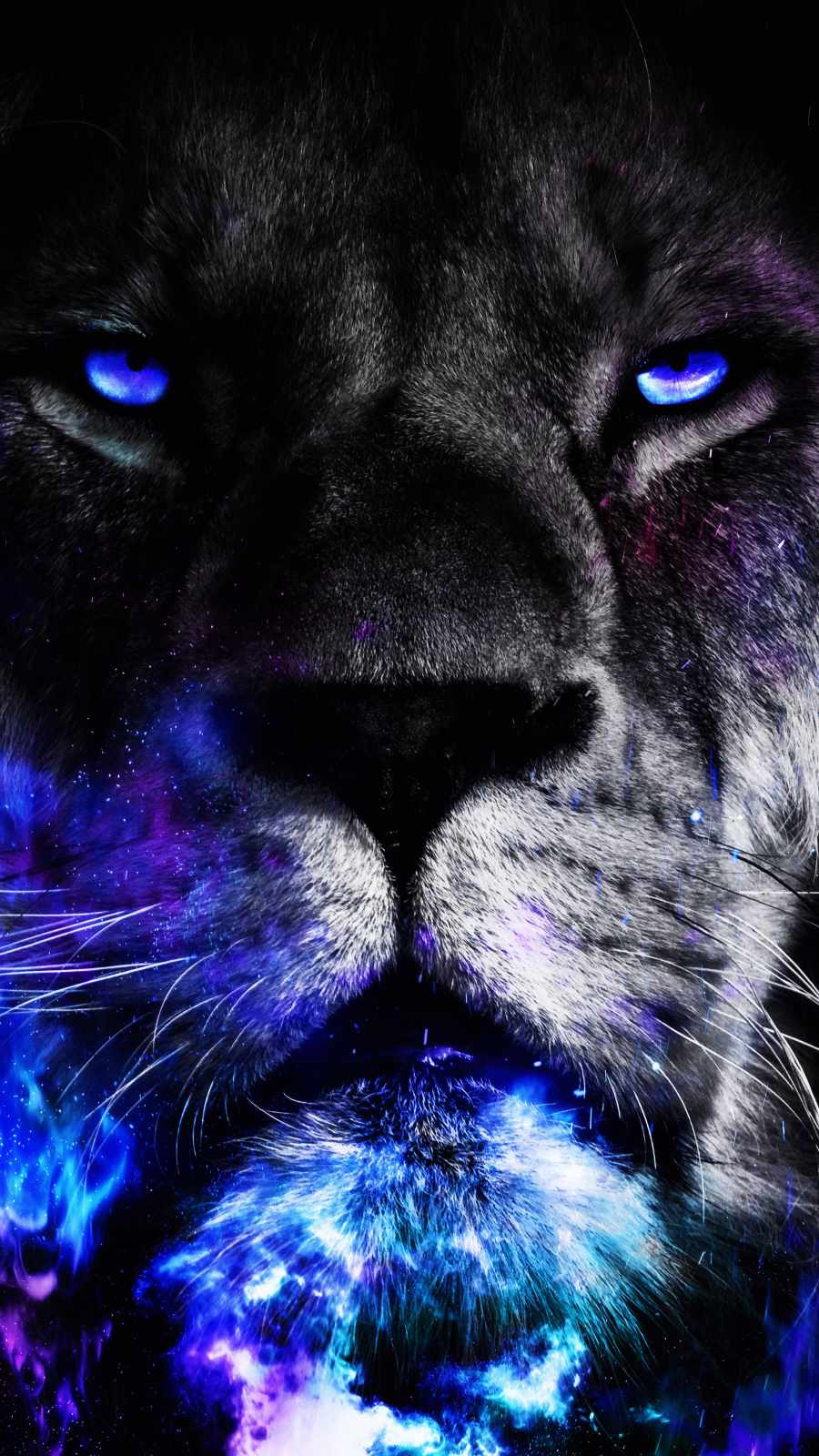 Lion Iphone Wallpapers