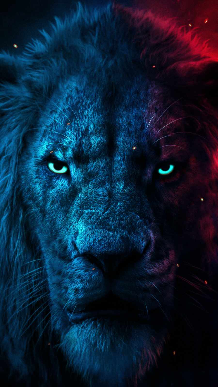 Lion Iphone Wallpapers