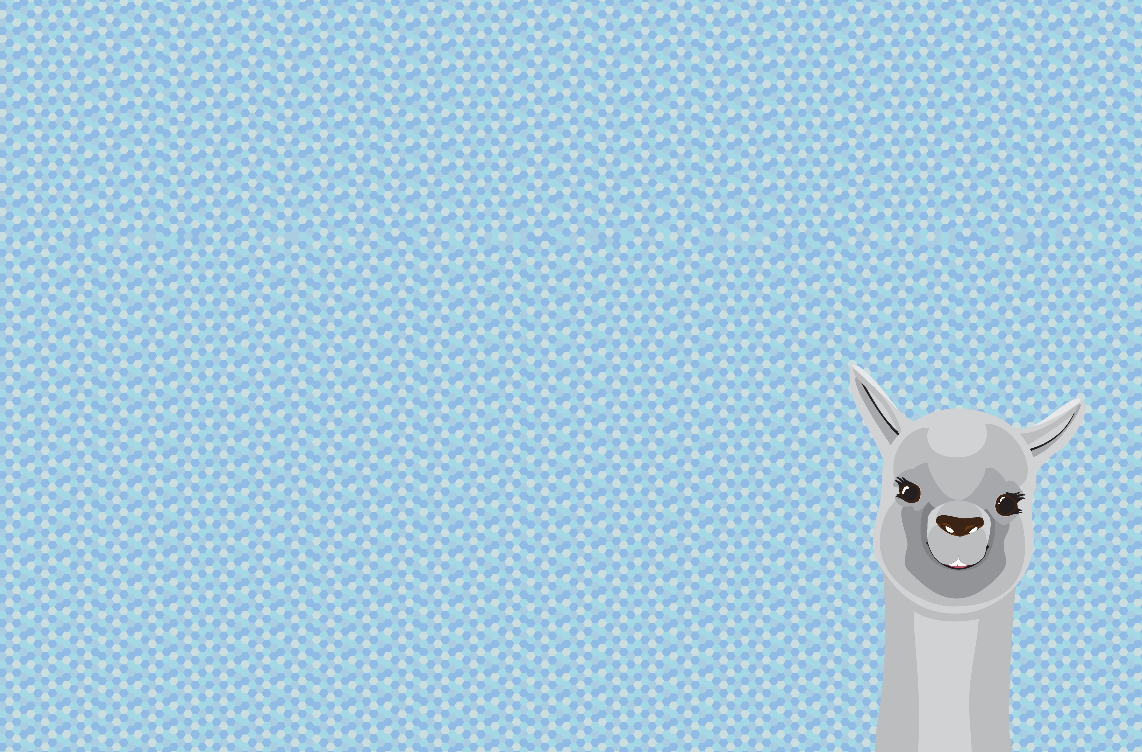 Llama Desktop Wallpapers