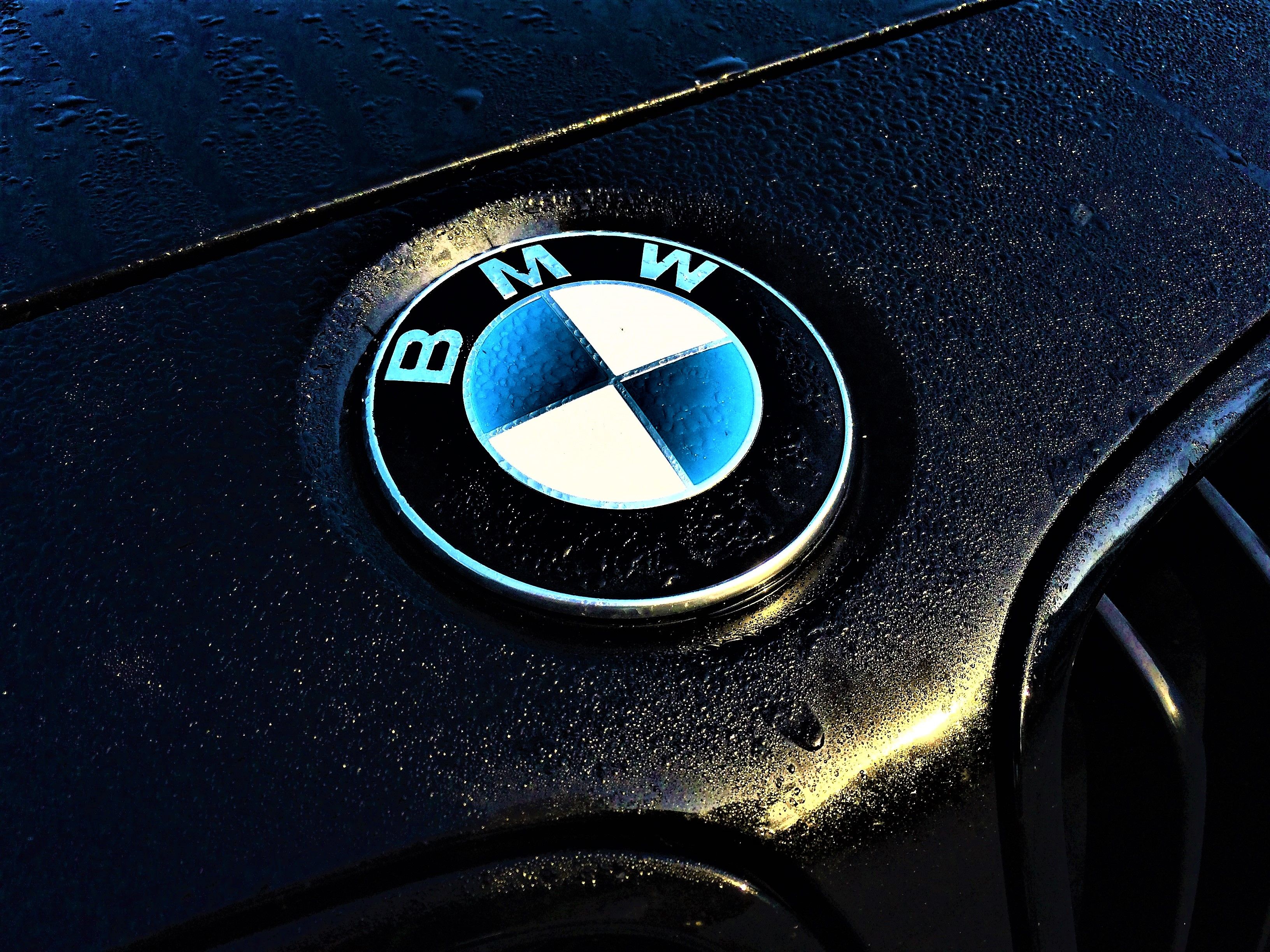 Logo Bmw Wallpapers