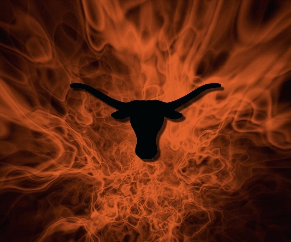 Longhorn Walpaper Wallpapers