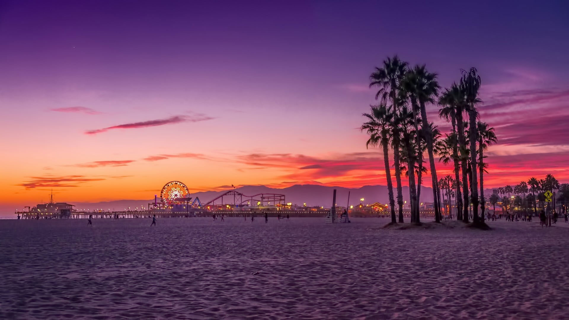 Los Angeles Palm Trees Wallpapers