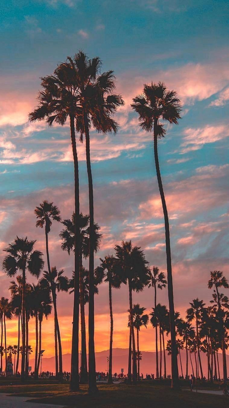 Los Angeles Sunset Wallpapers