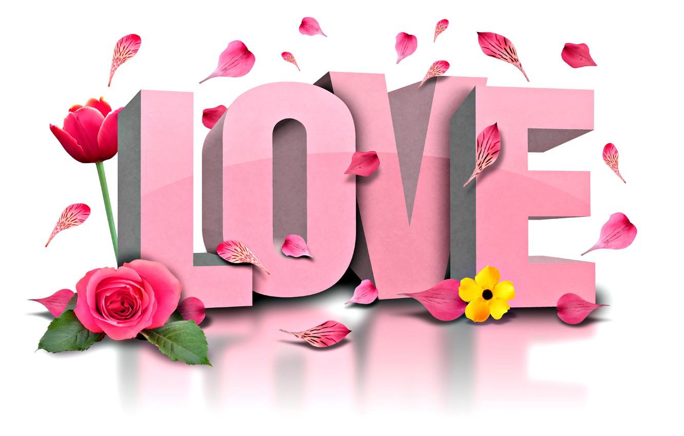 Love Flowers Pictures Wallpapers