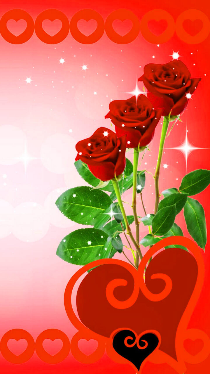 Love Rose Wallpapers