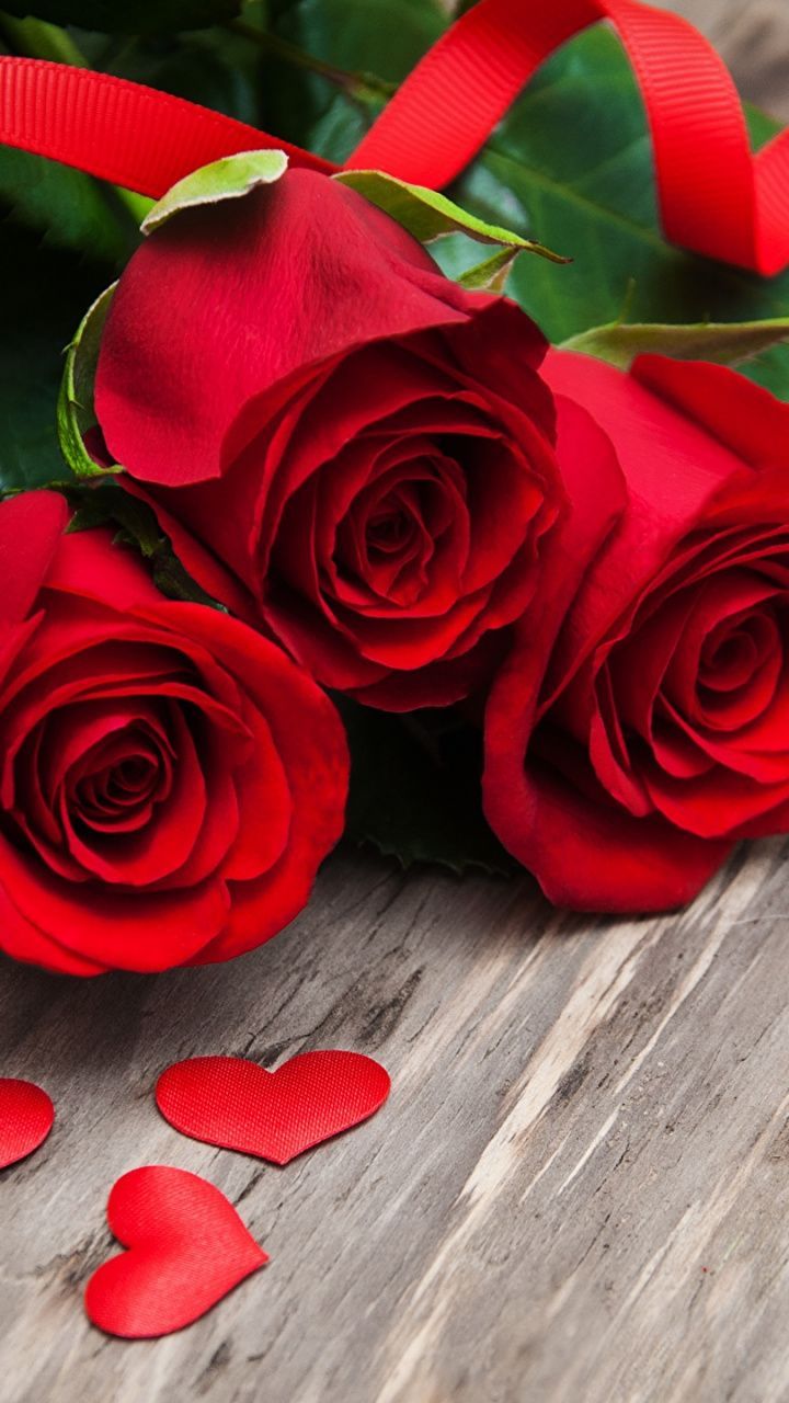 Love Rose Wallpapers