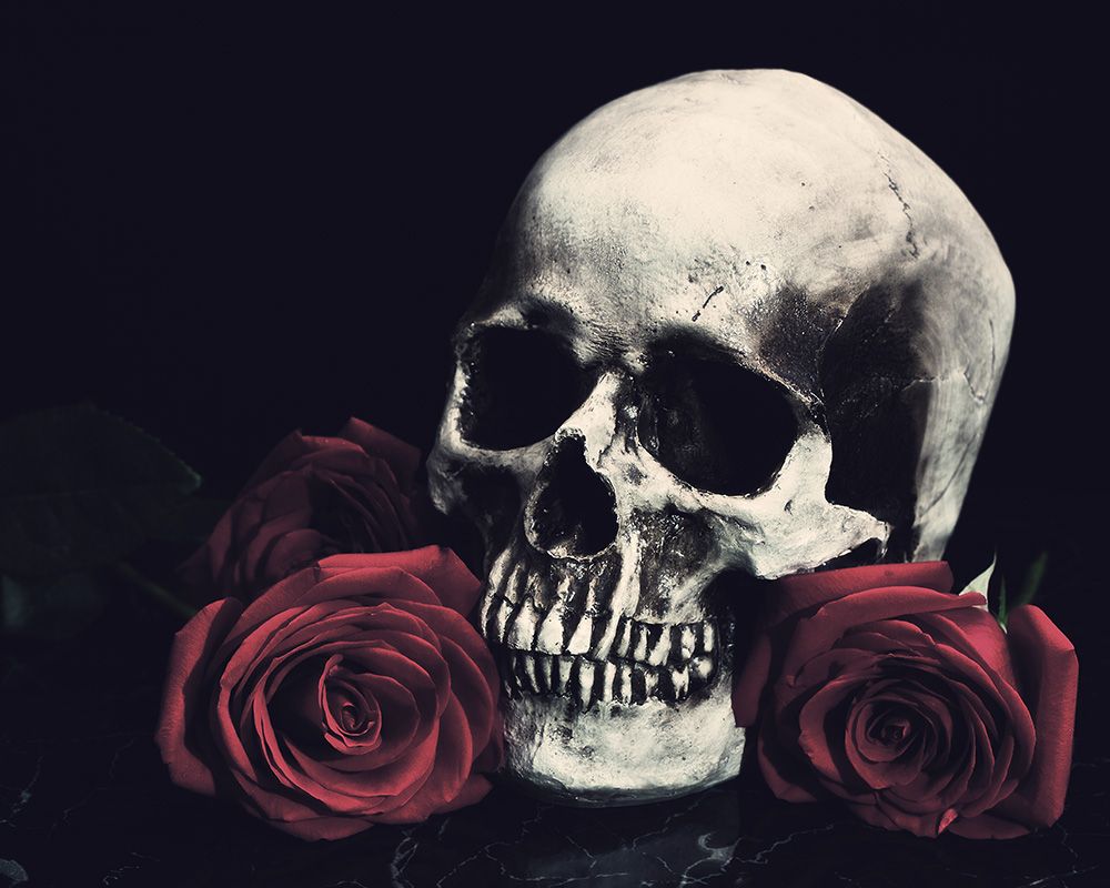 Love Skull And Roses Wallpapers