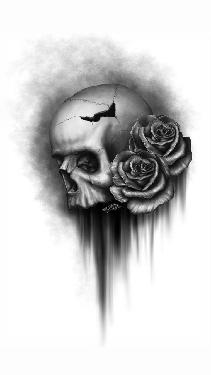 Love Skull And Roses Wallpapers