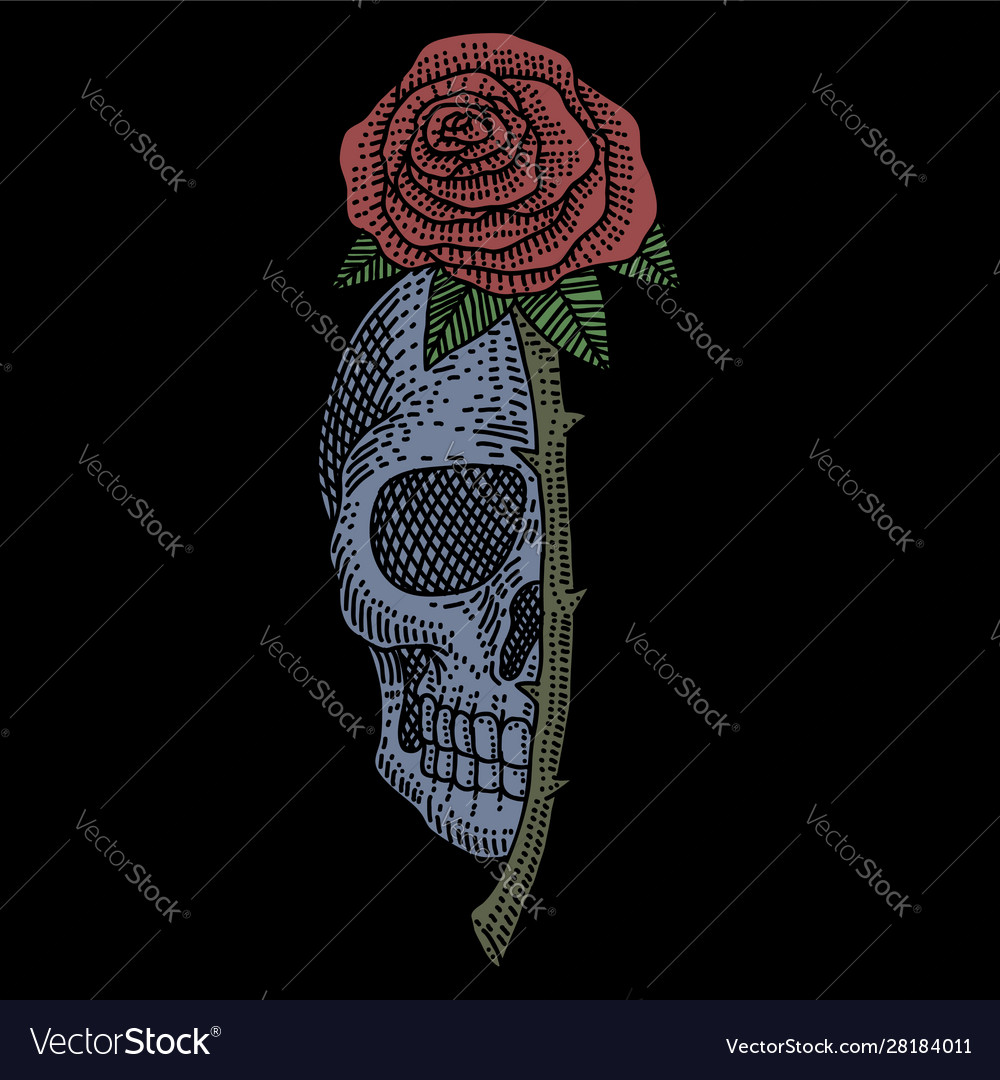 Love Skull And Roses Wallpapers