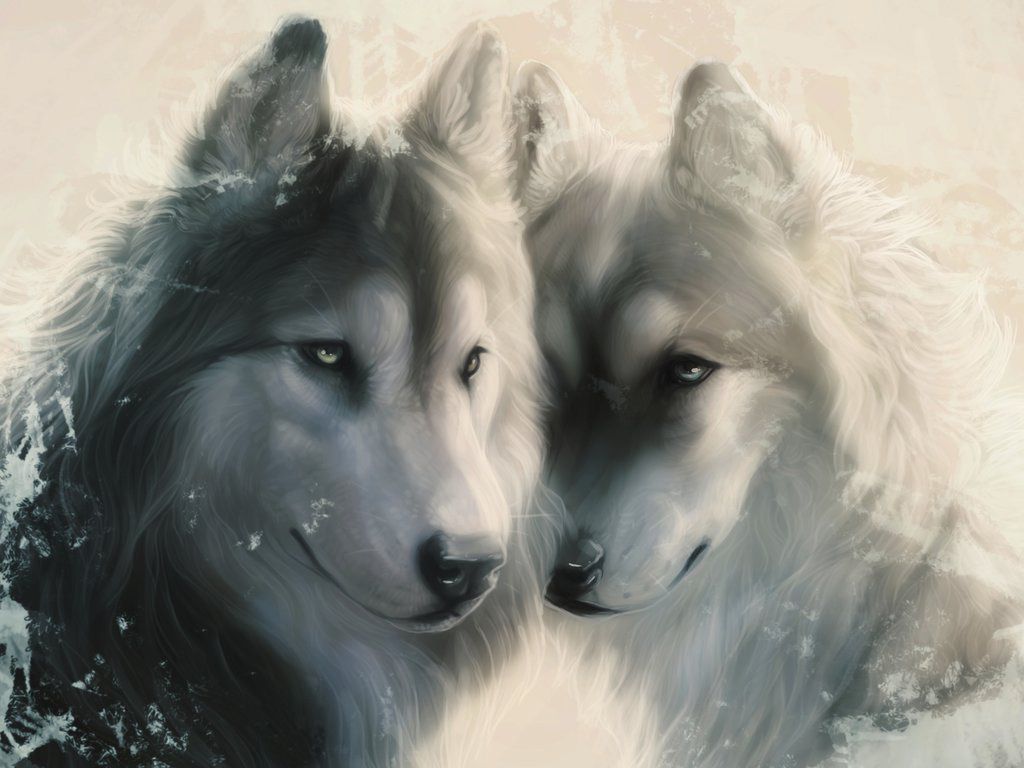 Love Wolf Couple Wallpapers