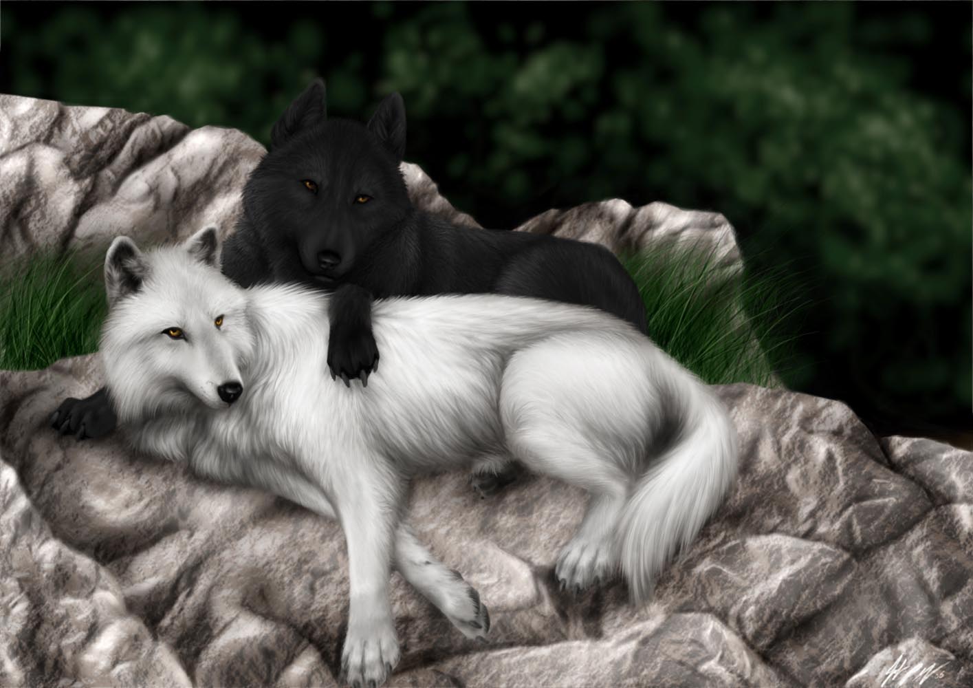 Love Wolf Couple Wallpapers