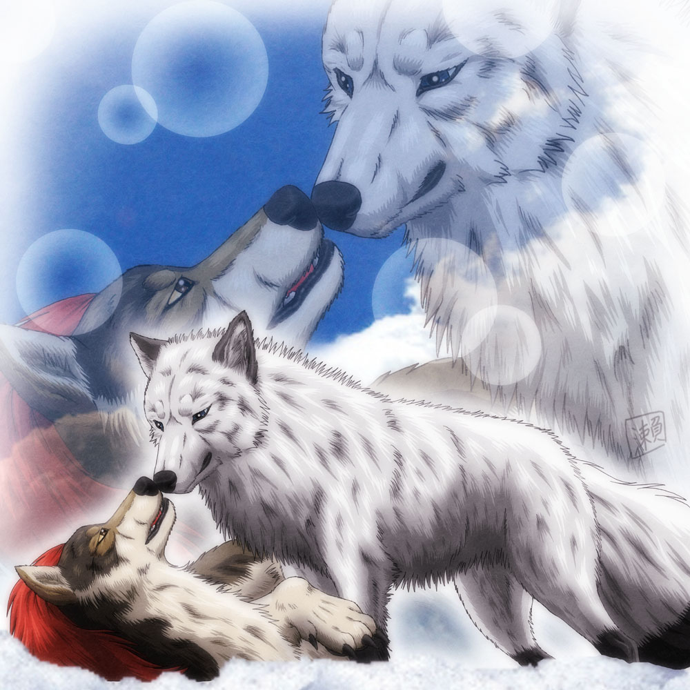 Love Wolf Couple Wallpapers