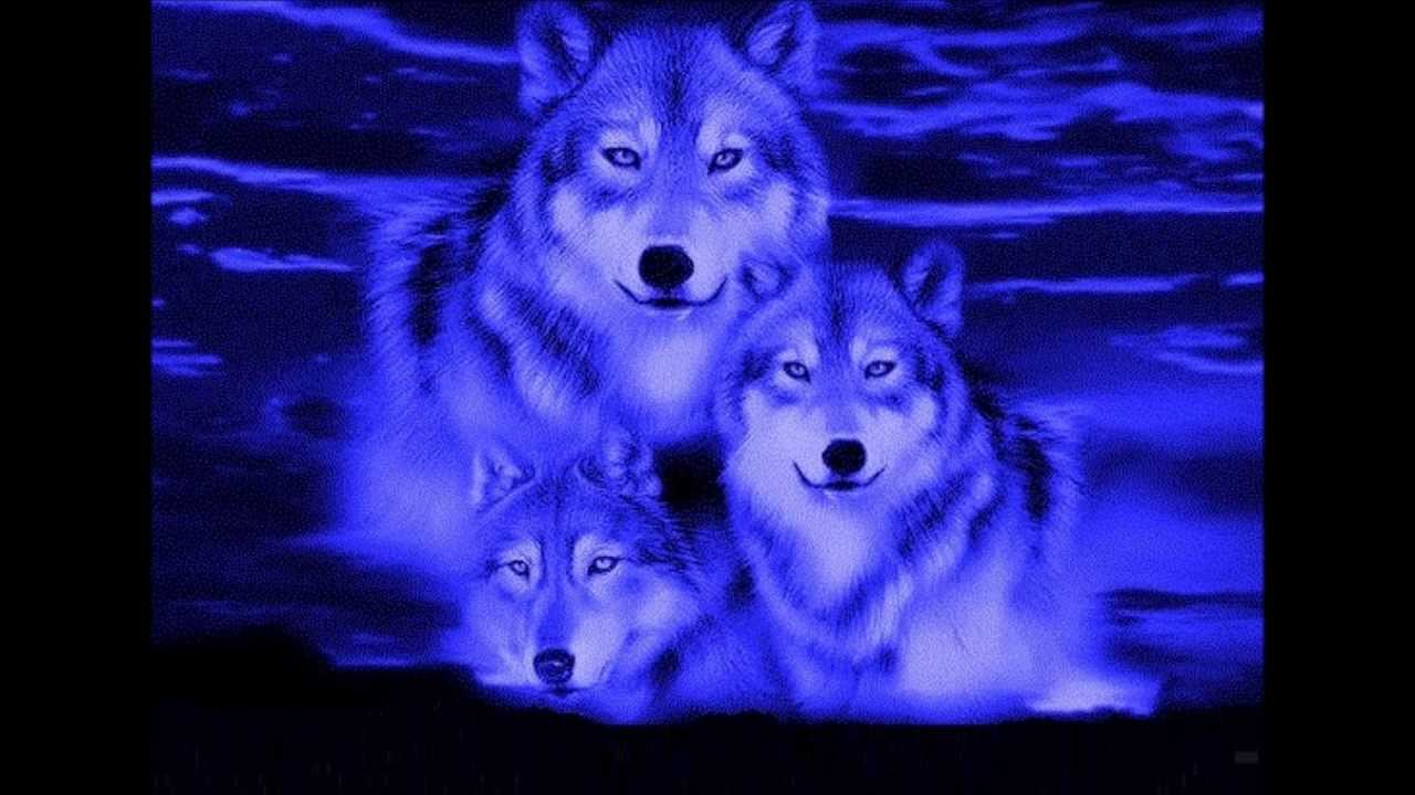 Love Wolf Couple Wallpapers