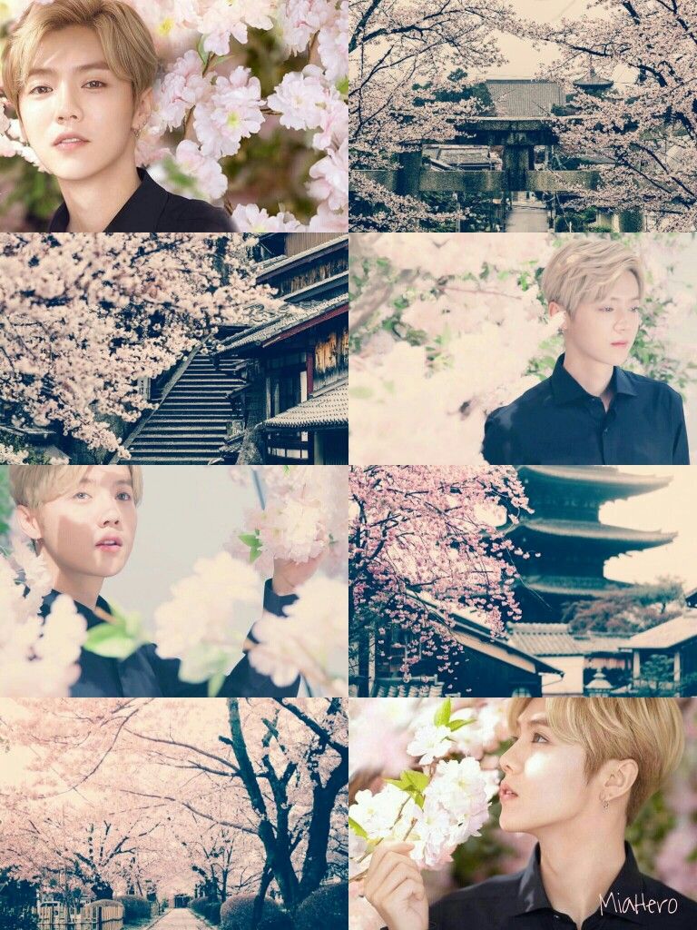 Luhan Aesthetic Wallpapers