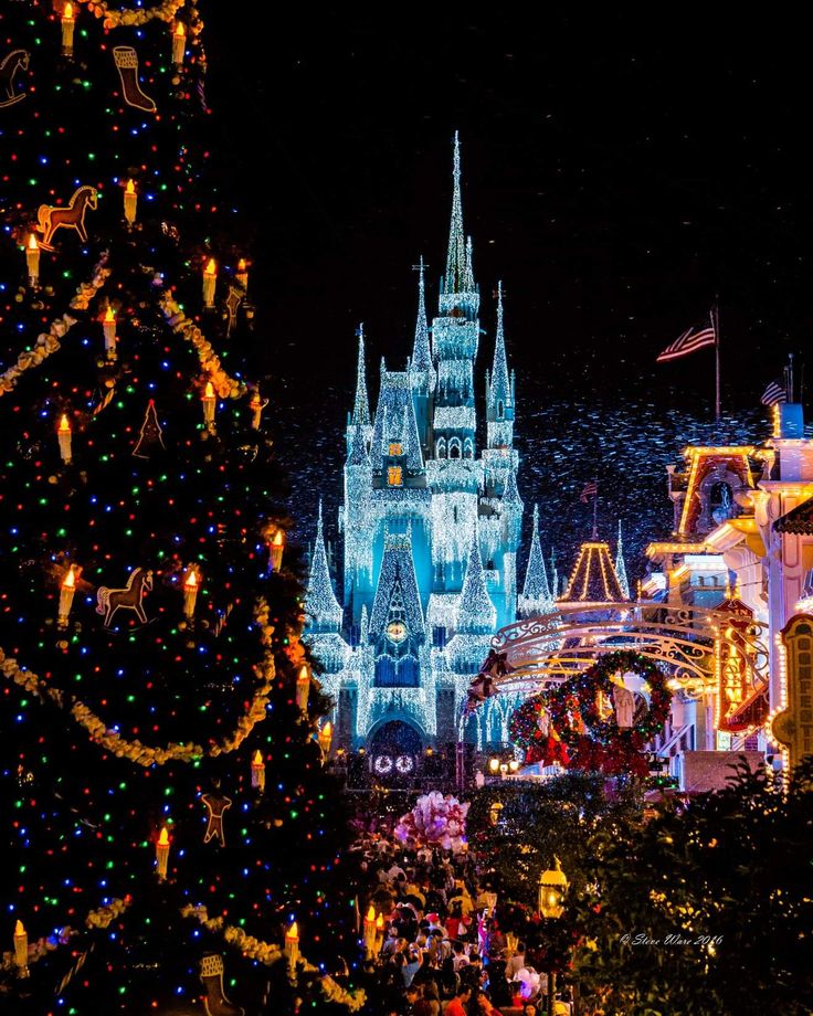 Magic Kingdom Christmas Wallpapers