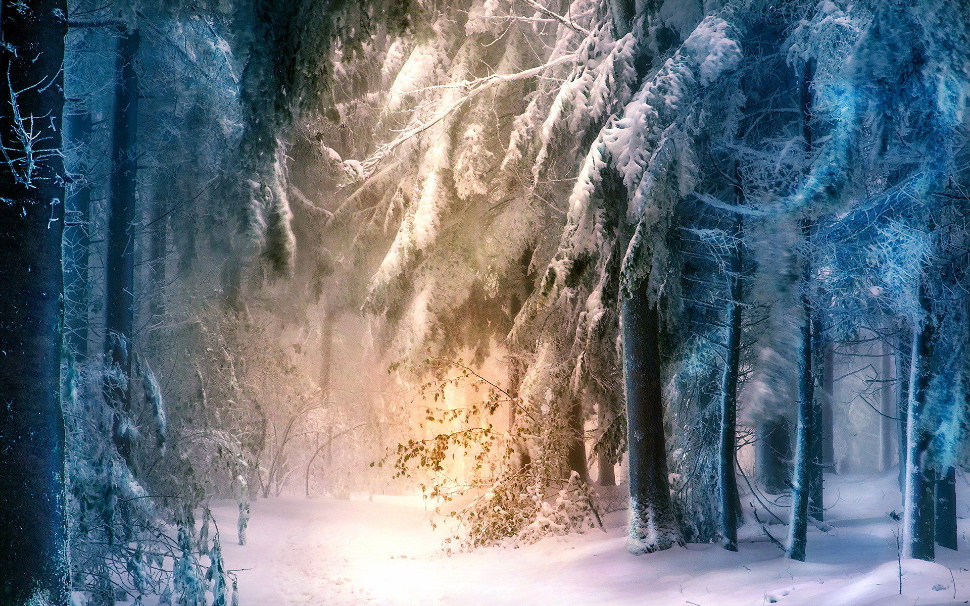 Magical Winter Wonderland Wallpapers