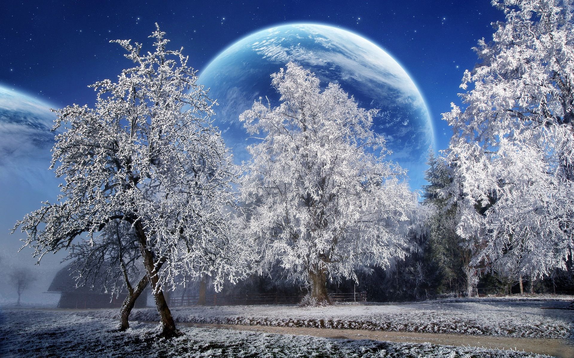 Magical Winter Wonderland Wallpapers