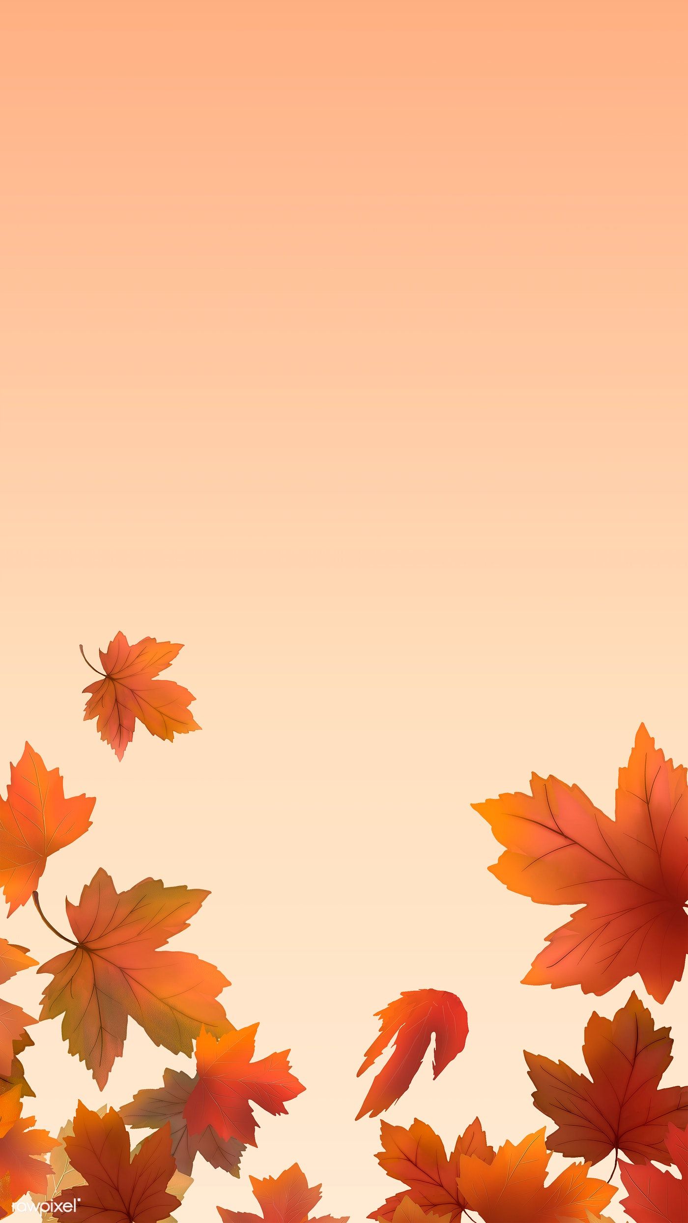 Maple Leaves Wallpapers