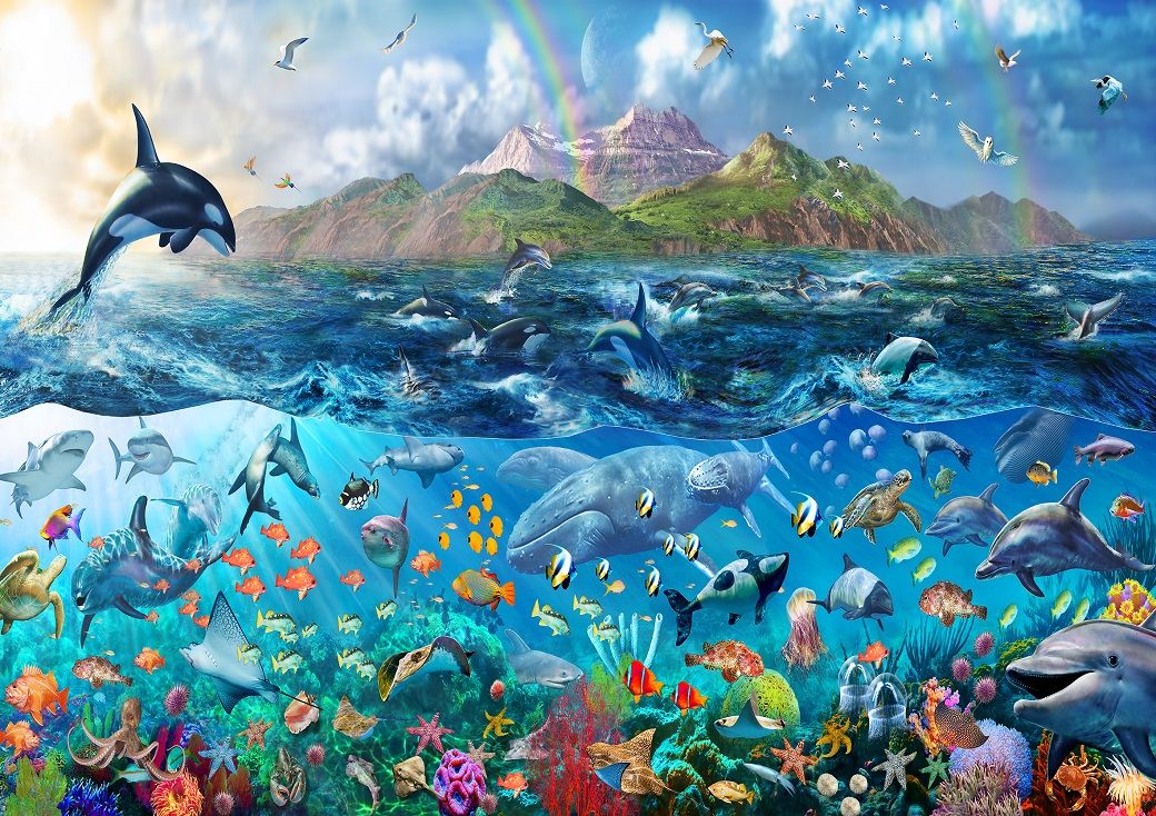 Marine Life Wallpapers