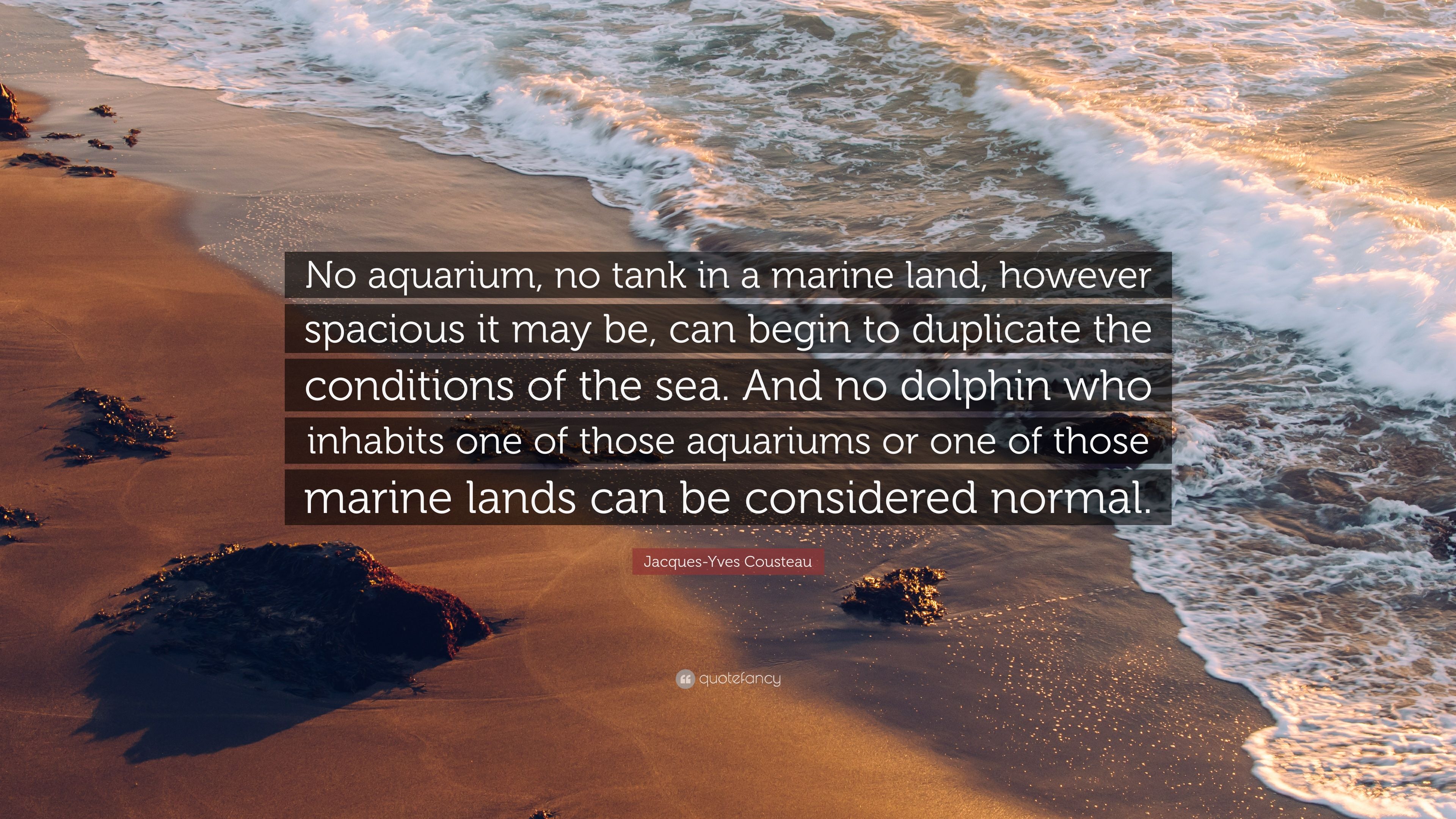 Marine Pictures With Quotes Wallpapers