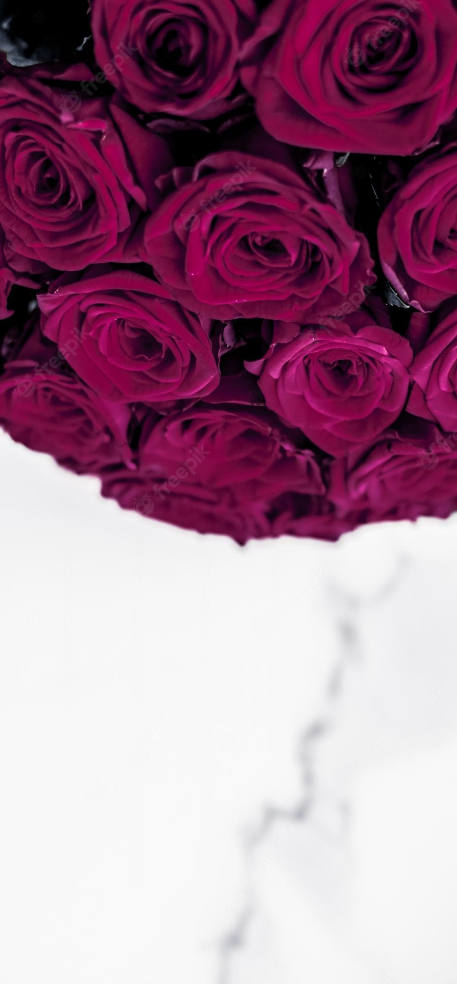 Maroon Rose Wallpapers