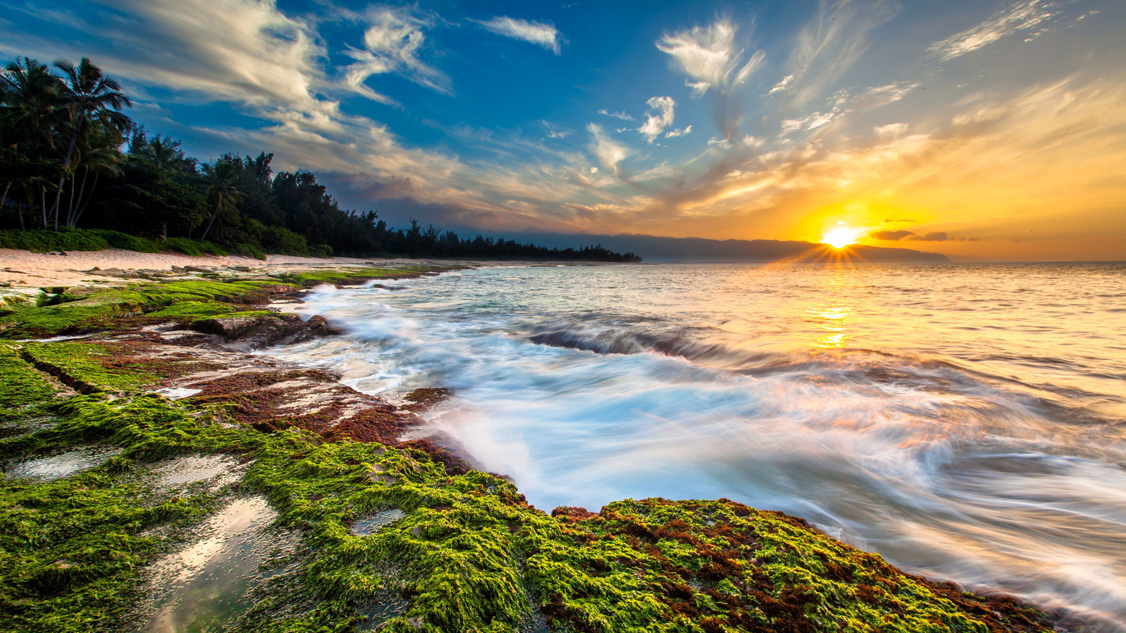 Maui Wallpapers