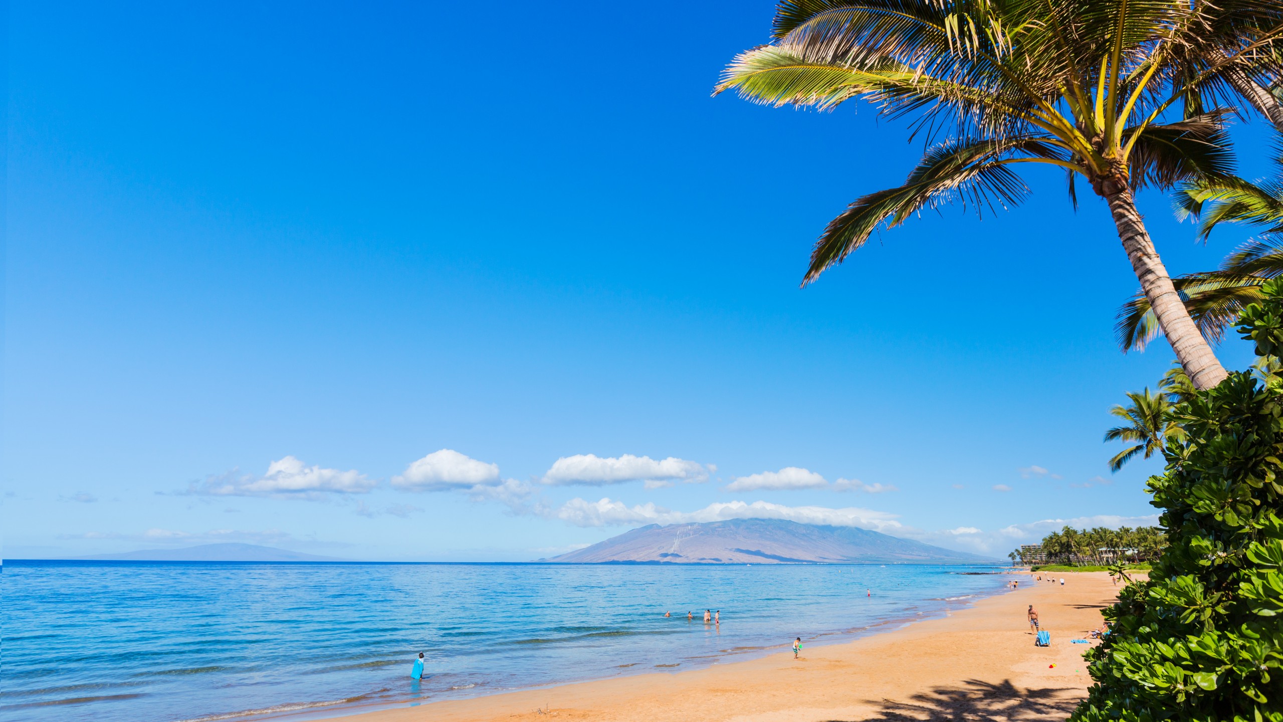 Maui Wallpapers