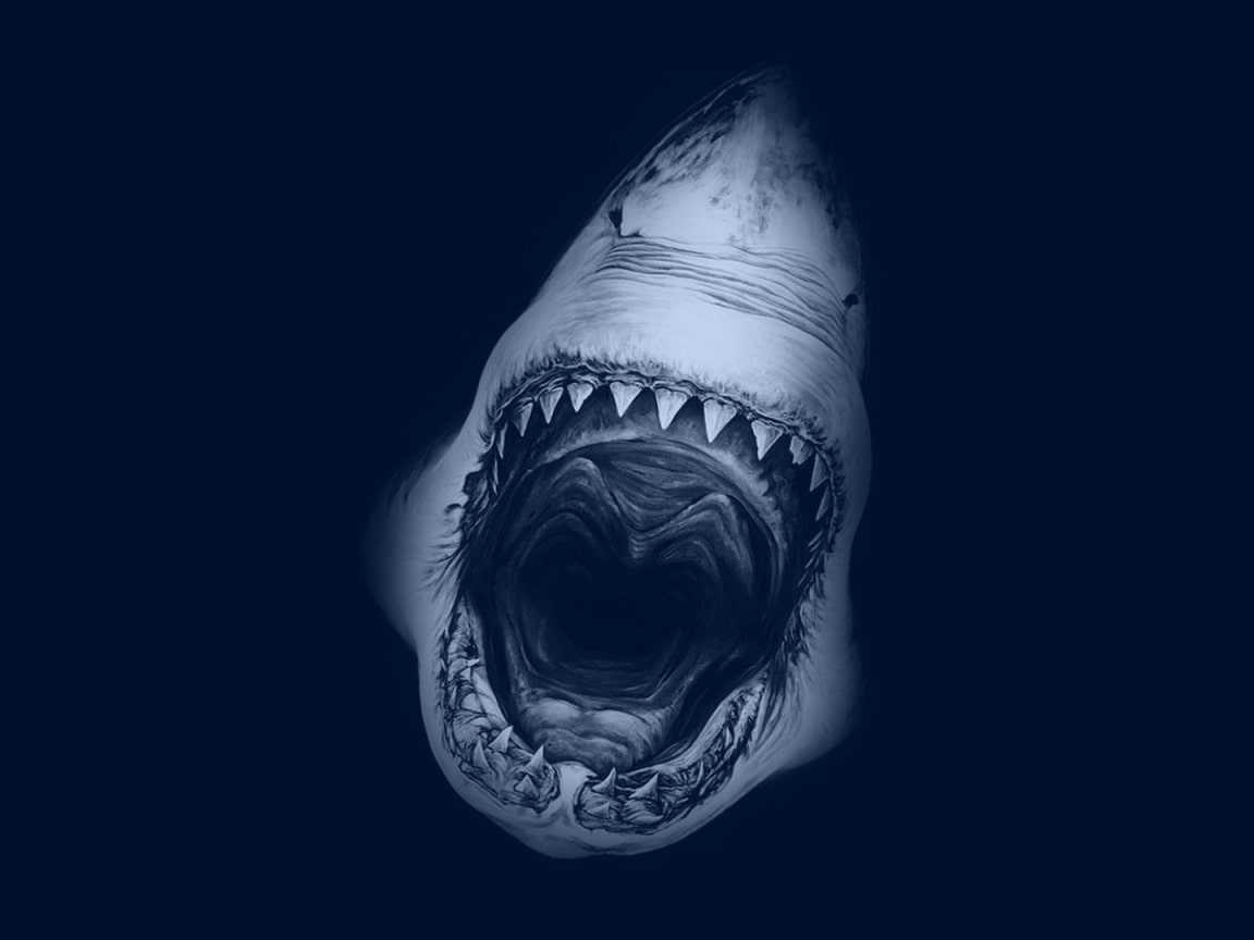Megalodon Wallpapers