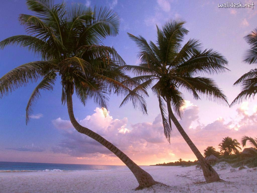 Mexico Beaches Wallpapers