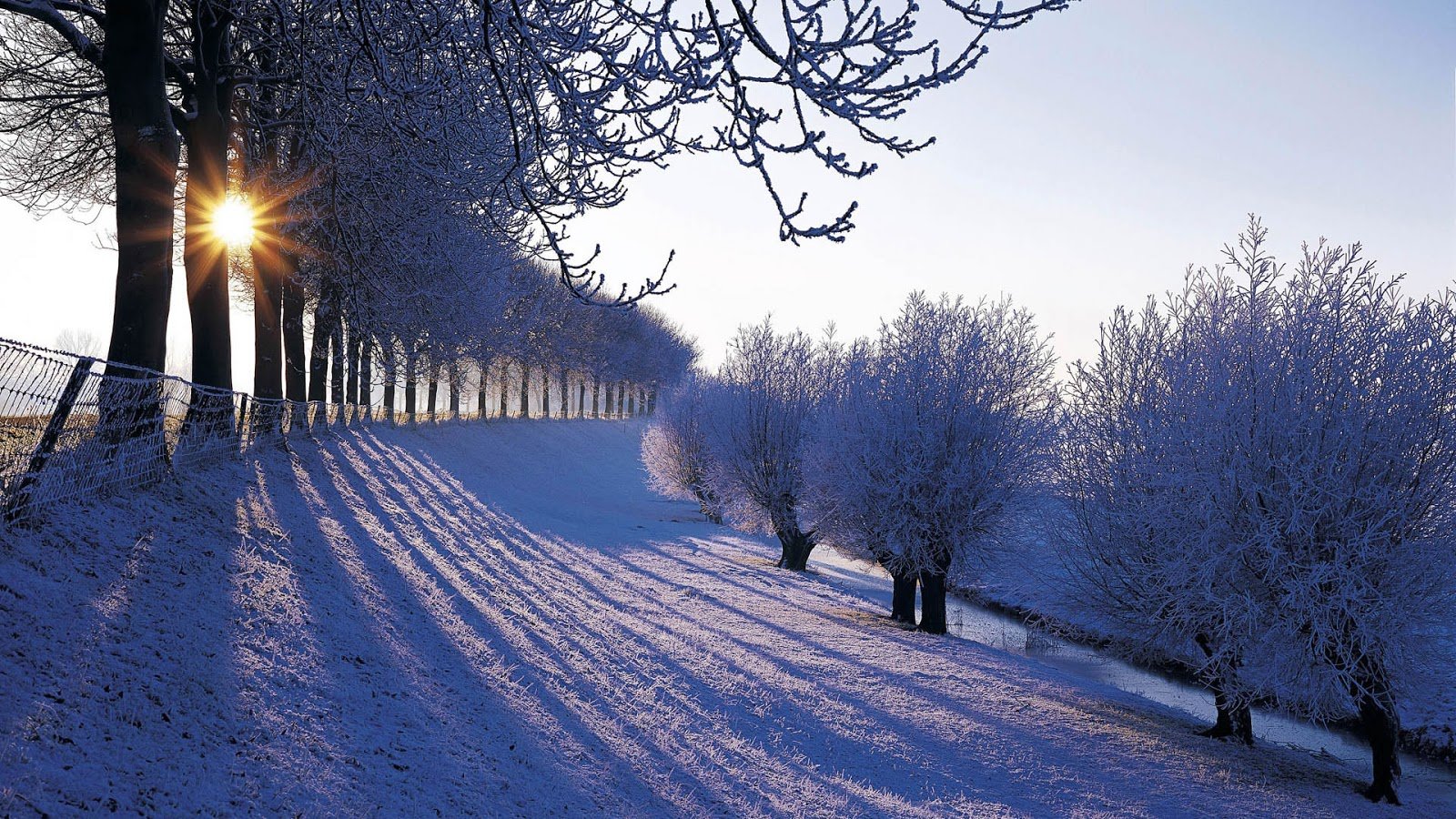 Minnesota Winter Wallpapers