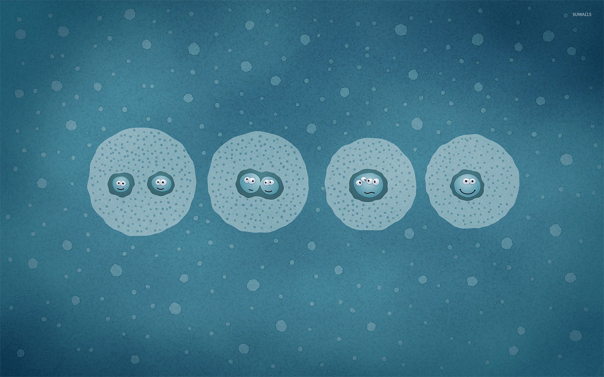 Mitosis Wallpapers