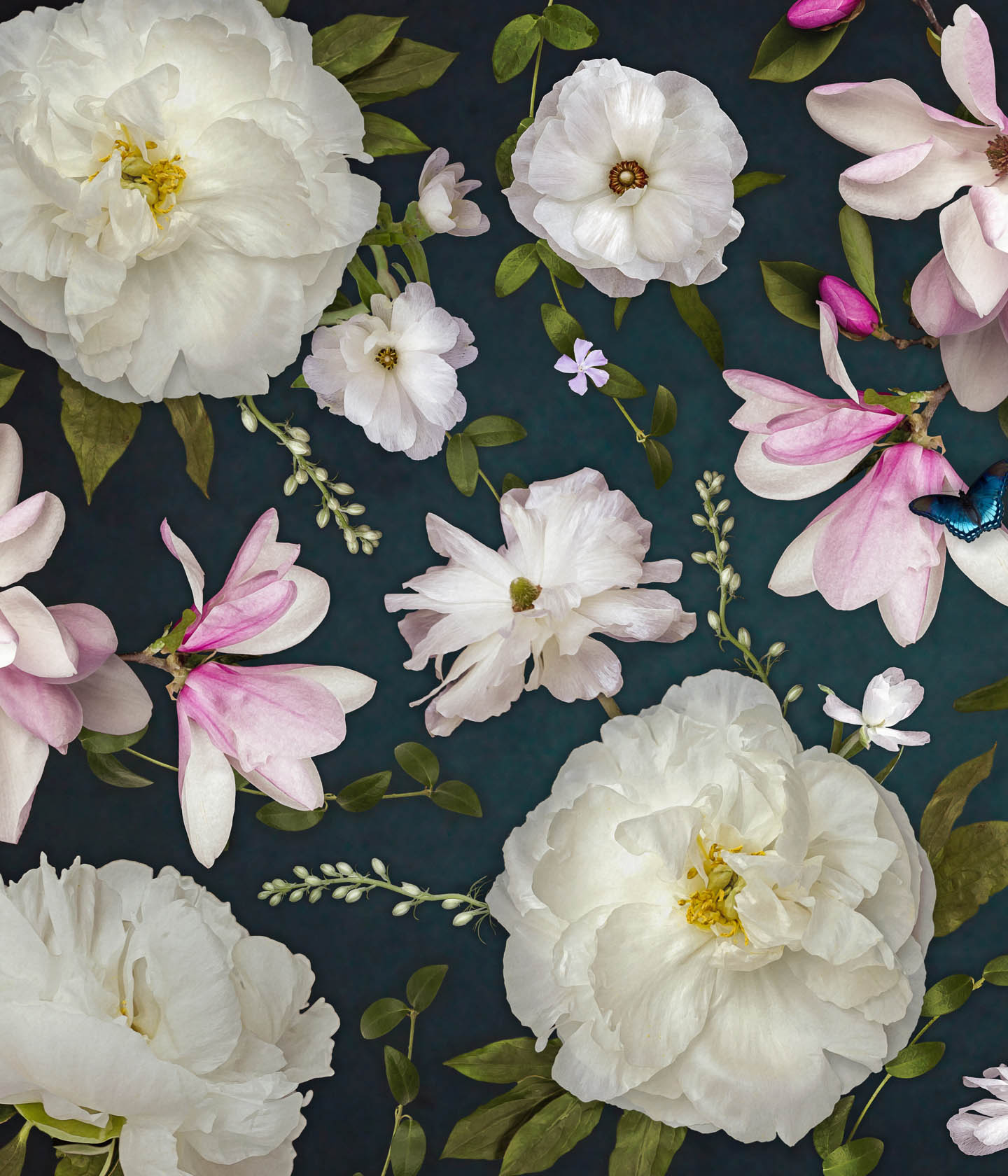 Modern Floral Wallpapers