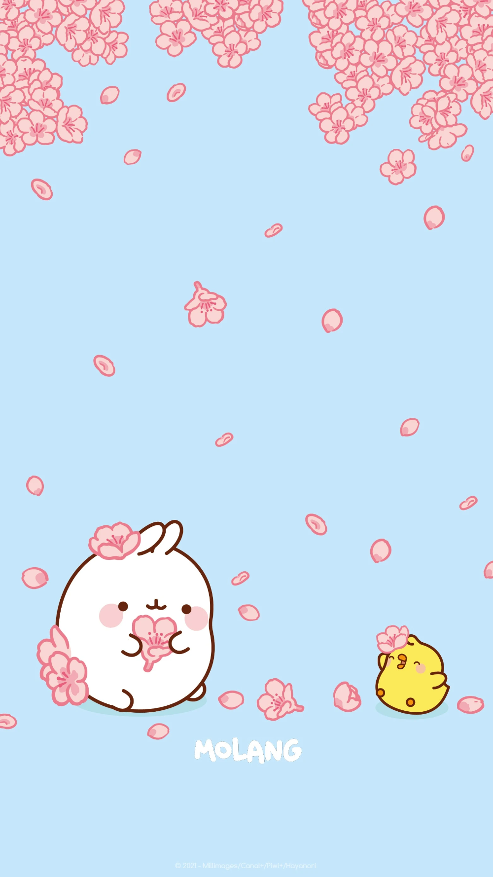 Molang Wallpapers