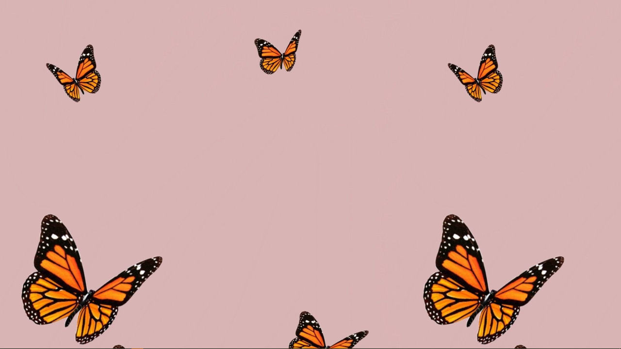 Monarch Butterfly Wallpapers