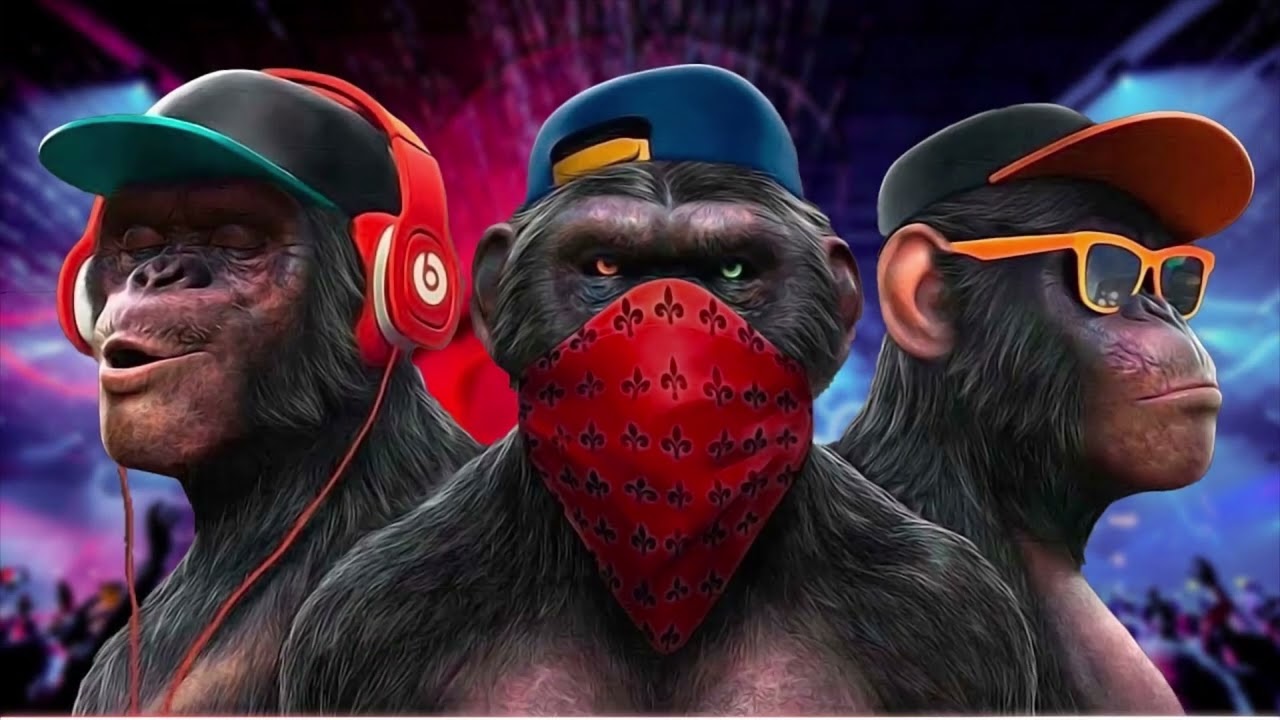 Monkey Swag Wallpapers