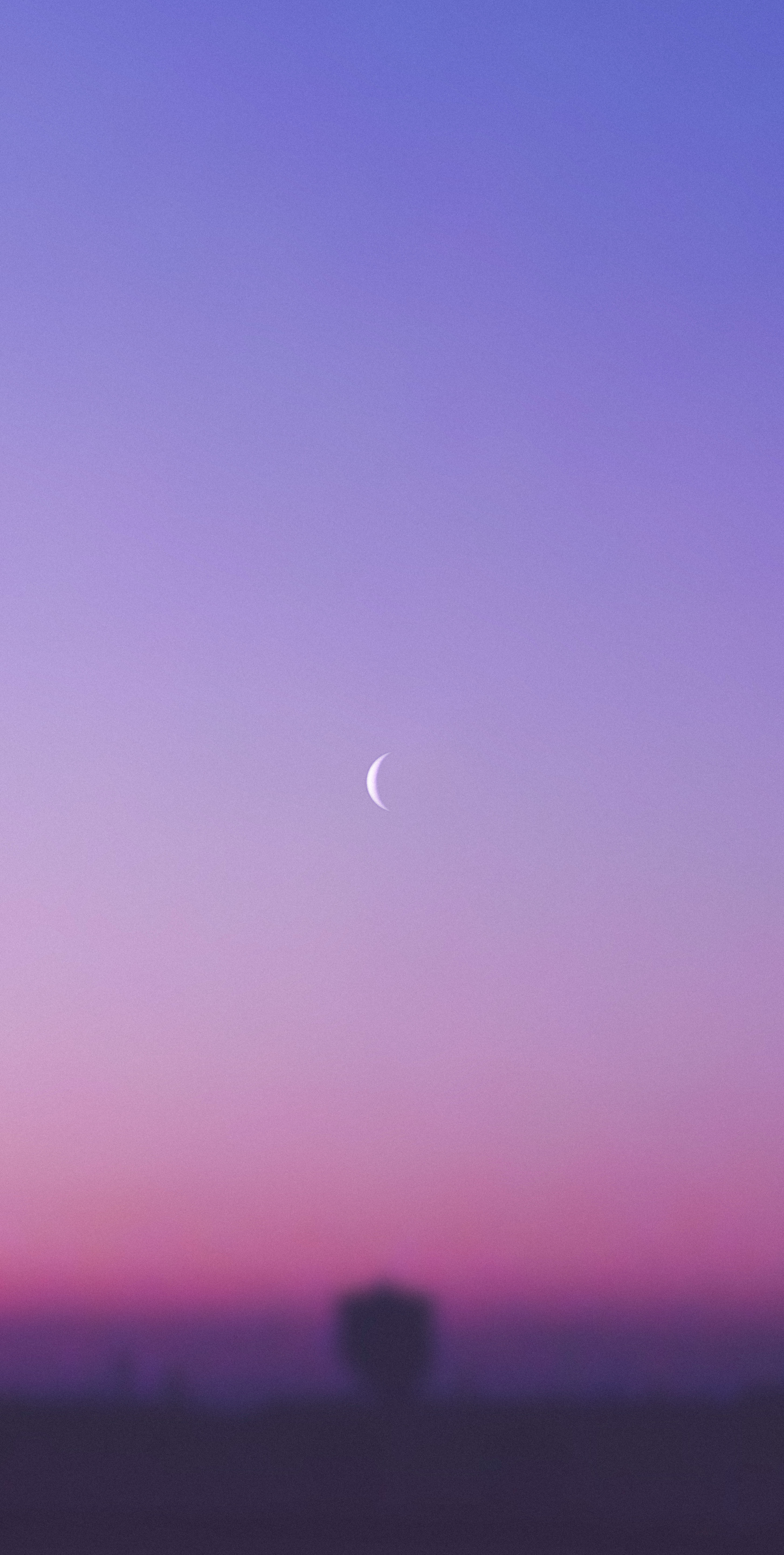 Moon Purple Sky Wallpapers